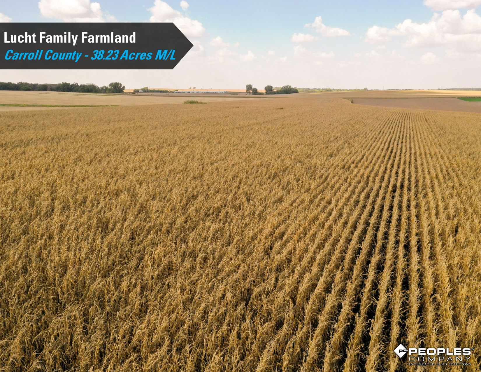 Listing Photo: Lucht-Family-Farmland-Auction-Online-Carroll-County-Iowa-38.23Acres (12)